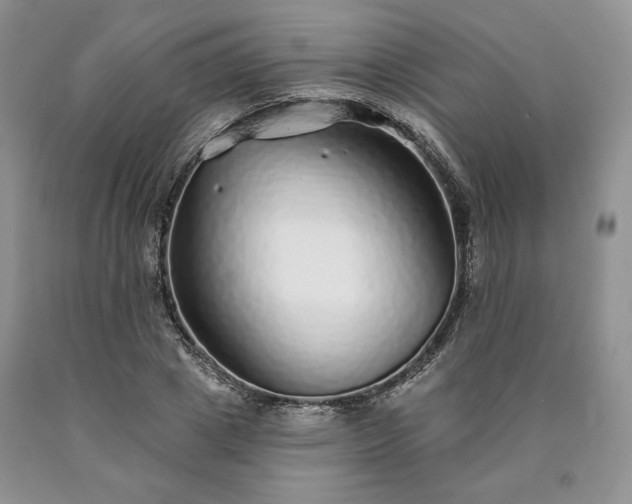 X0000090460833200707201332
