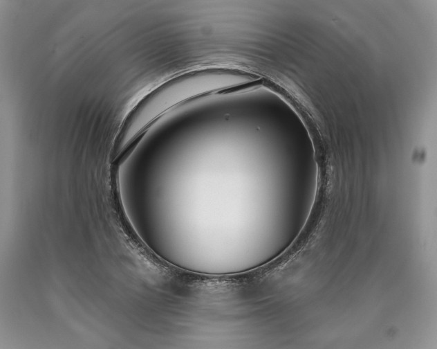 X0000090460834200707201332
