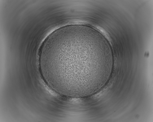 X0000090460835200707201332