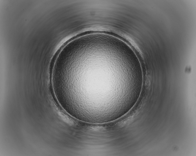 X0000090460837200707201332