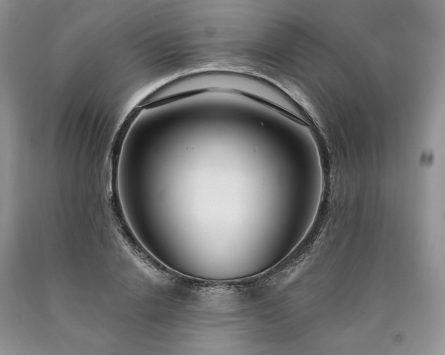 X0000090460838200707201332