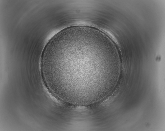 X0000090460839200707201332