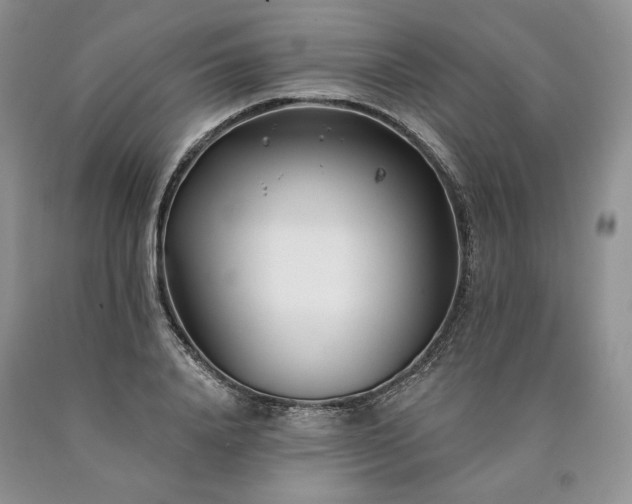 X0000090460840200707201332