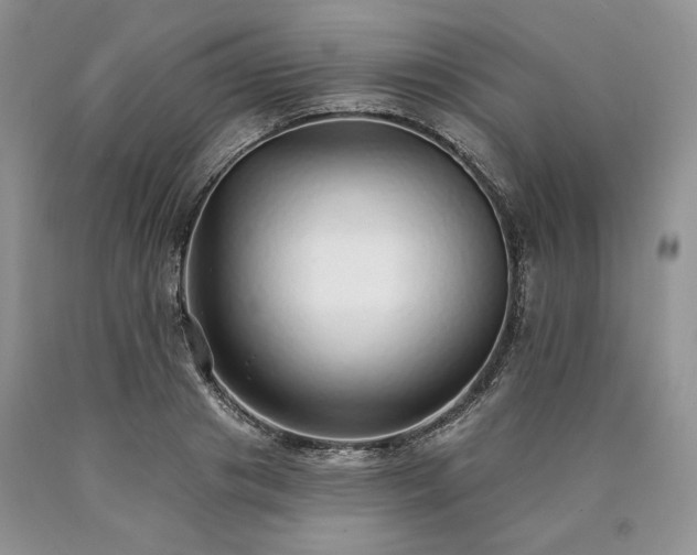 X0000090460841200707201332