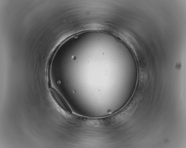 X0000090460843200707201333