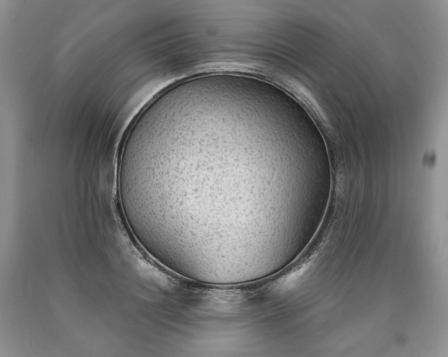 X0000090460844200707201333