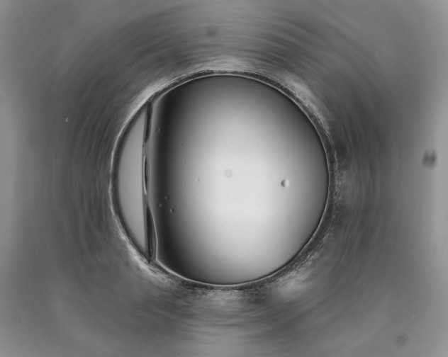 X0000090460845200707201333