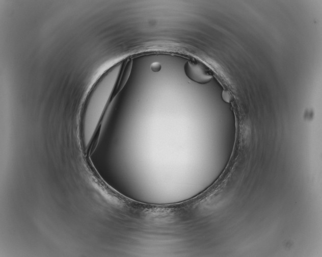 X0000090460846200707201333