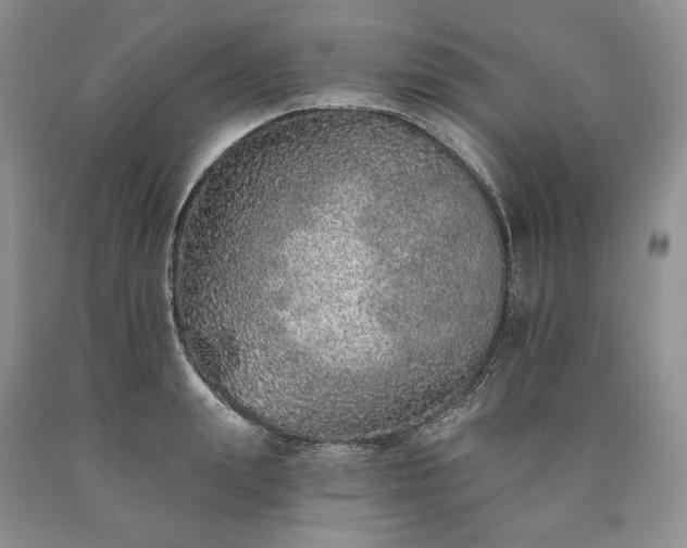 X0000090460847200707201333