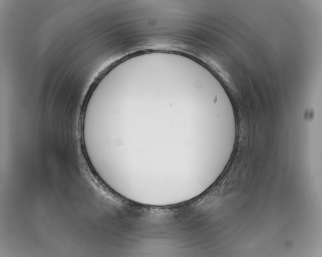X0000090460848200707201333