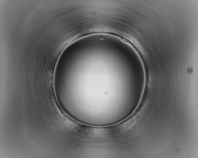 X0000090460849200707201333