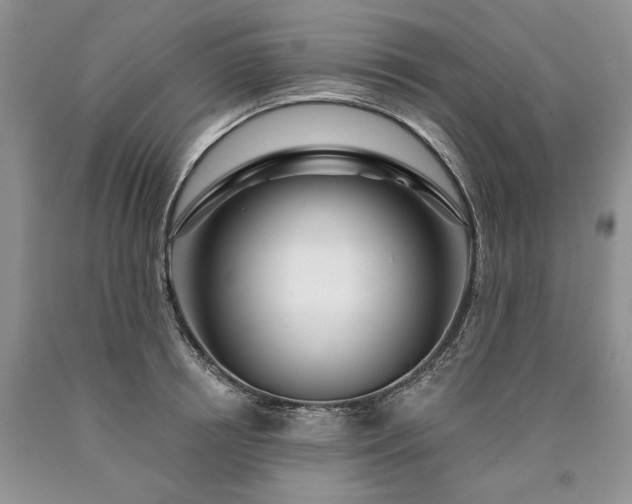 X0000090460850200707201333