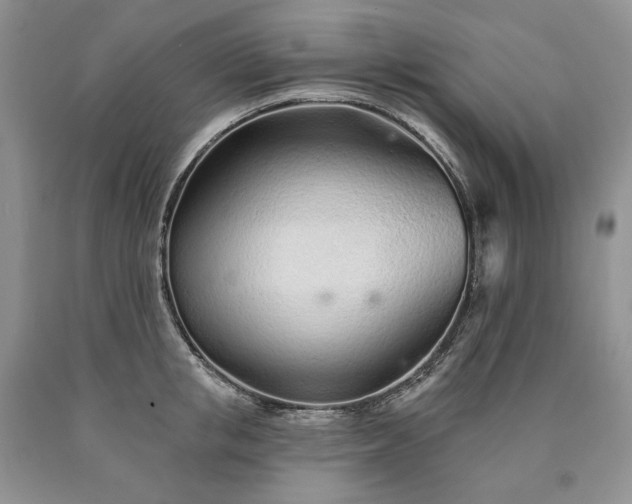 X0000090460853200707201333