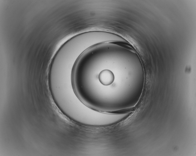 X0000090460854200707201333
