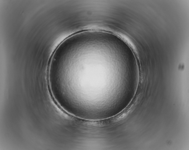 X0000090460855200707201333
