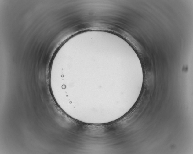X0000090460856200707201333