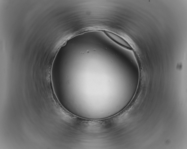 X0000090460857200707201333