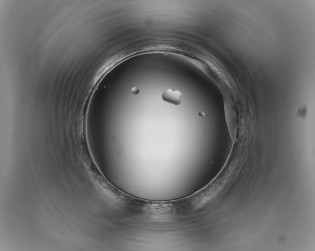 X0000090460858200707201333