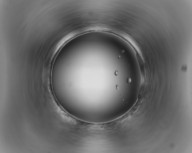 X0000090460861200707201333