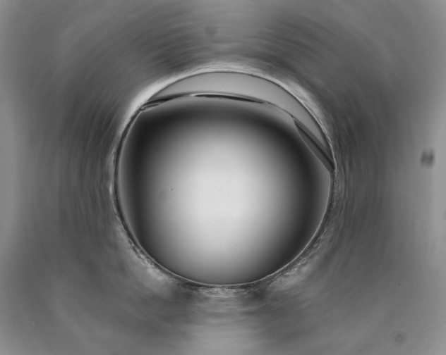 X0000090460862200707201333