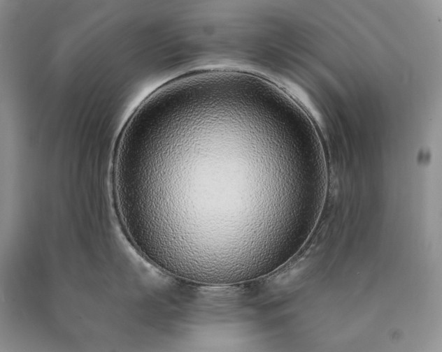 X0000090460863200707201333