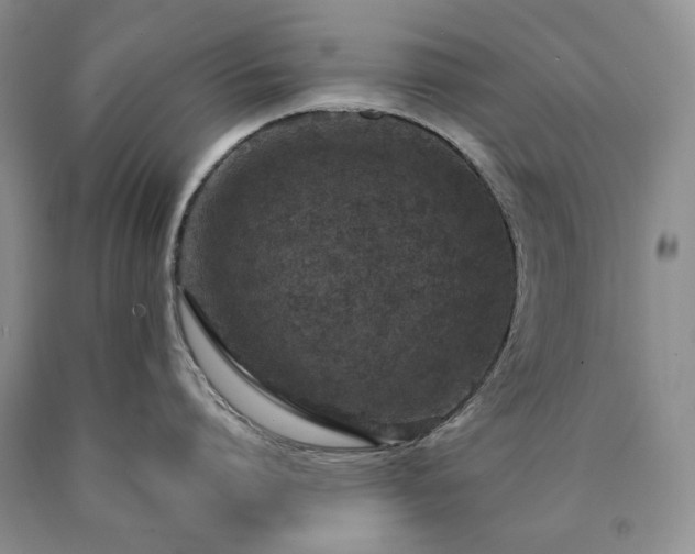 X0000090460864200707201333