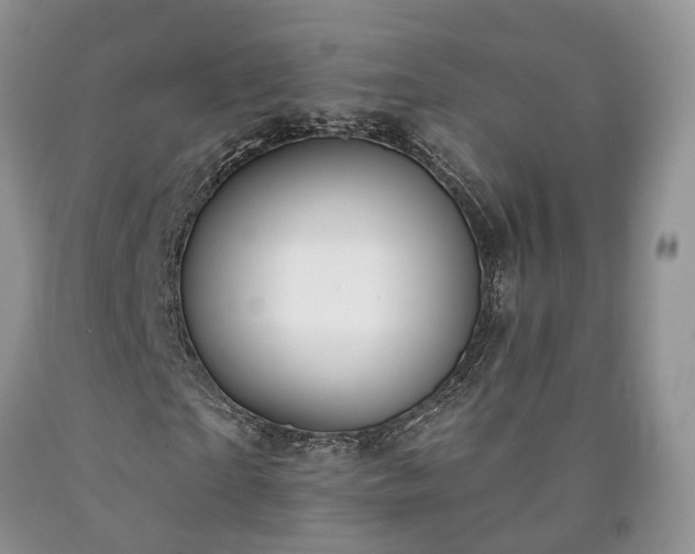 X0000090460865200707201332