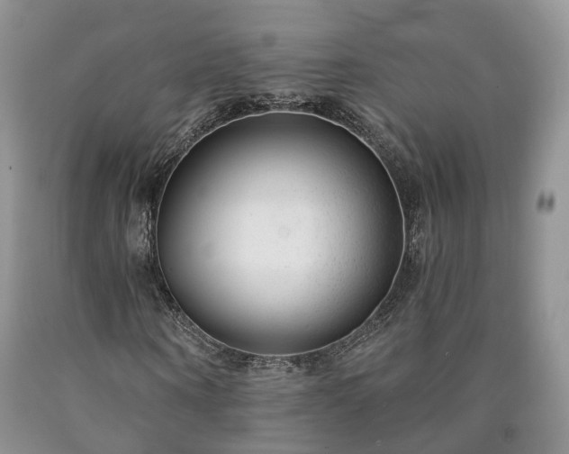 X0000090460866200707201332