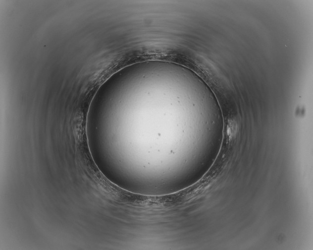 X0000090460867200707201332