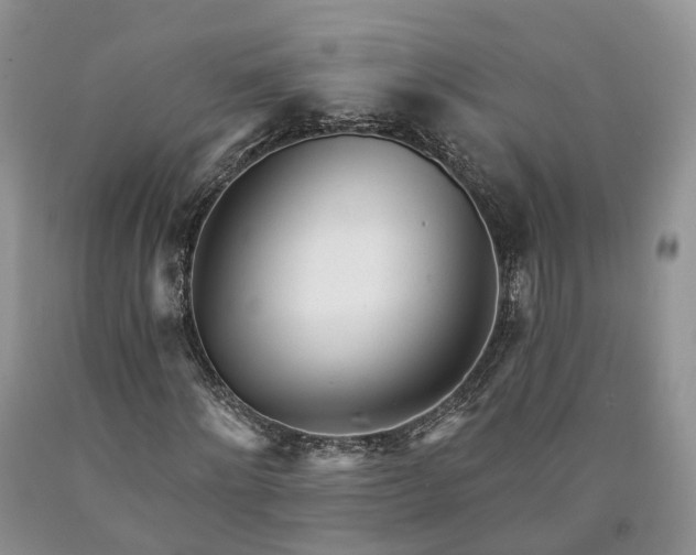 X0000090460868200707201332