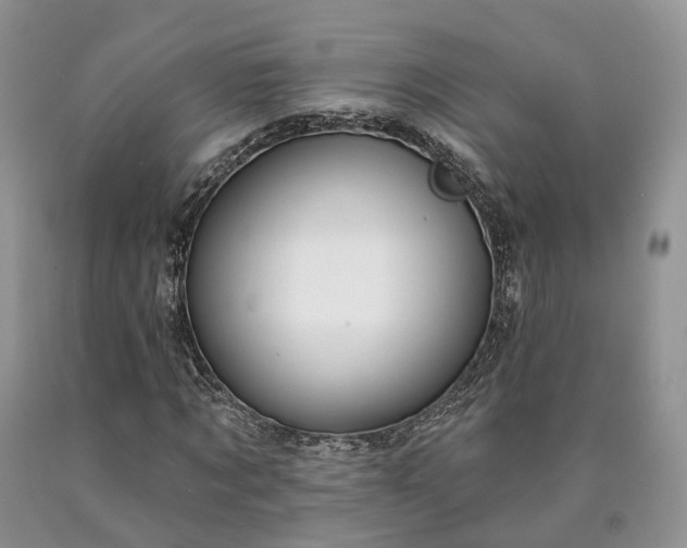 X0000090460869200707201332