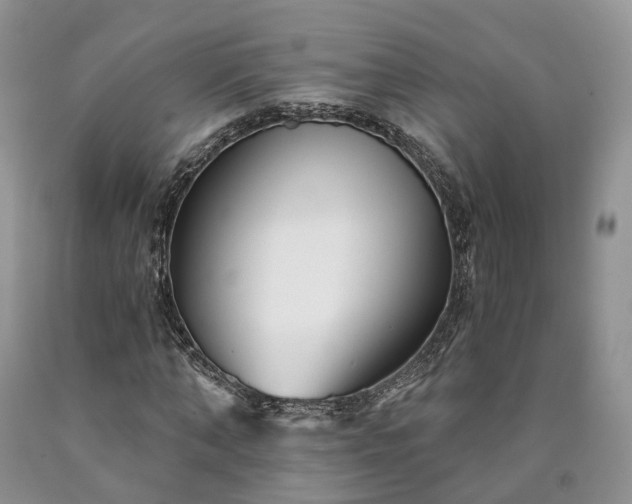 X0000090460870200707201332