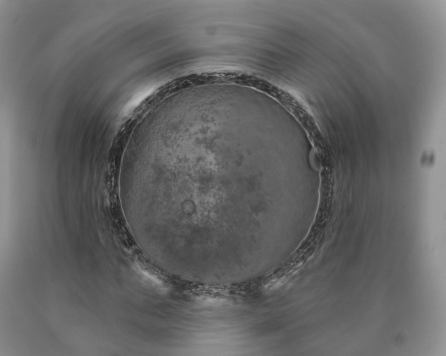 X0000090460871200707201332