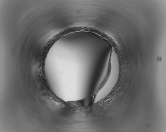 X0000090460872200707201332