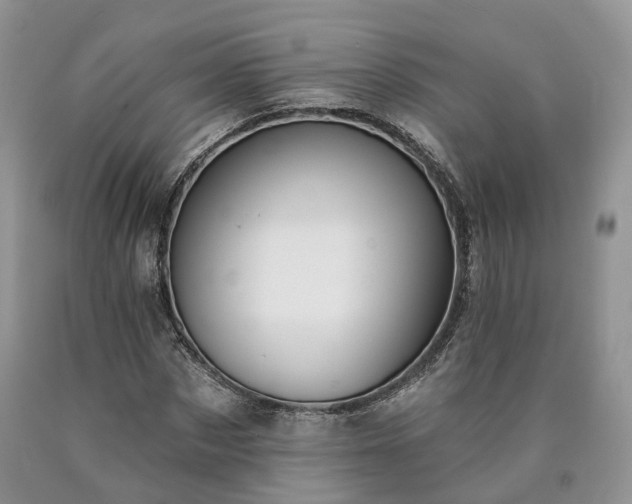 X0000090460873200707201332