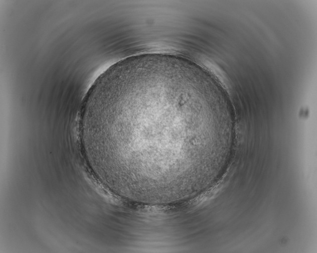 X0000090460875200707201332