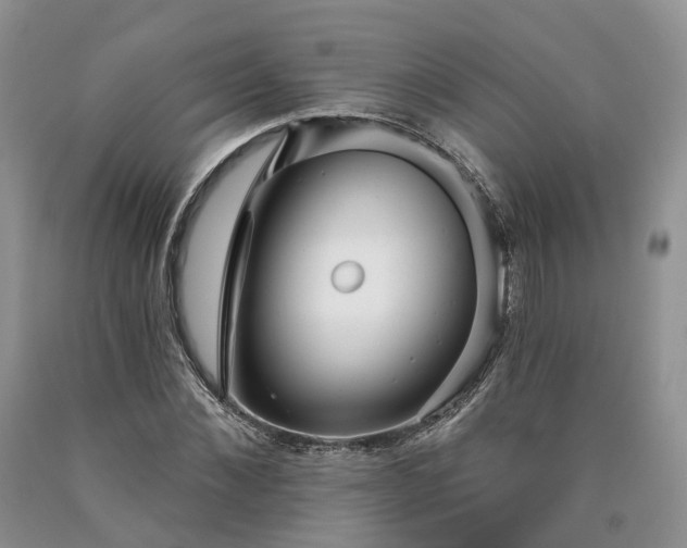 X0000090460876200707201332