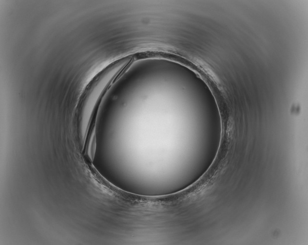 X0000090460877200707201332