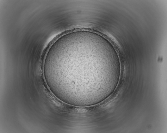 X0000090460878200707201332