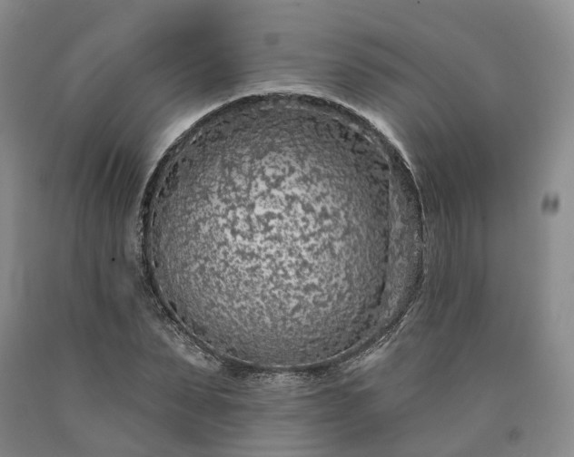 X0000090460879200707201332