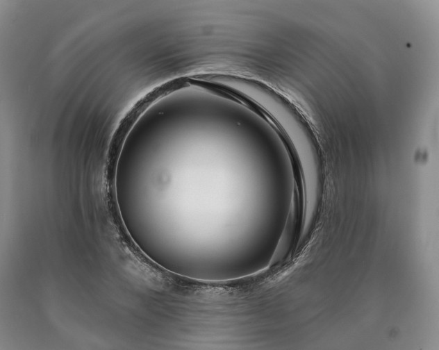 X0000090460880200707201332