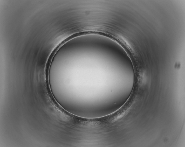 X0000090460884200707201332
