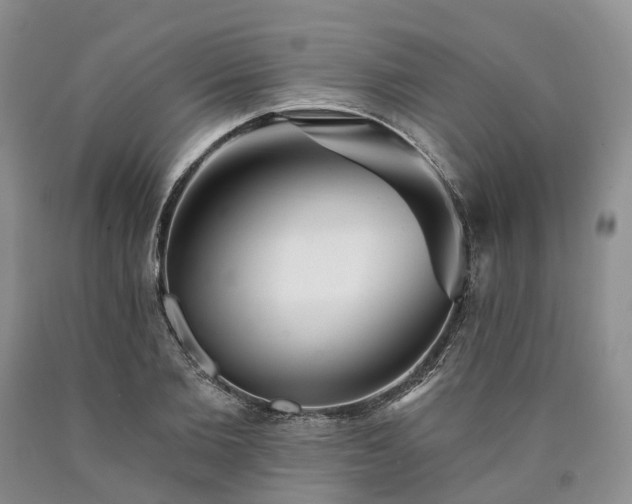 X0000090460885200707201332