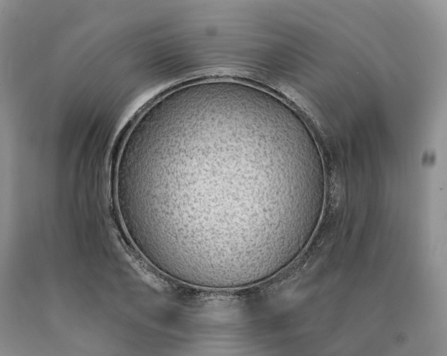 X0000090460886200707201332