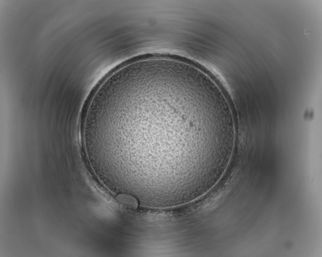 X0000090460887200707201332