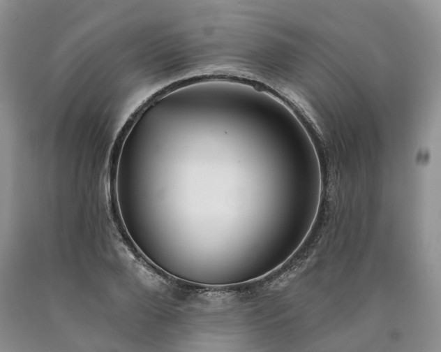 X0000090460888200707201332