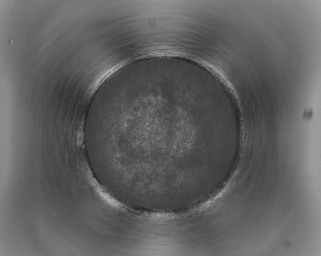 X0000090460889200707201332