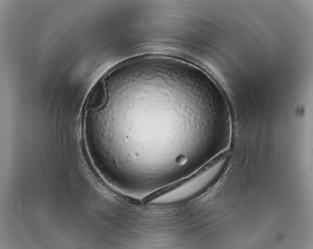 X0000090460891200707201332