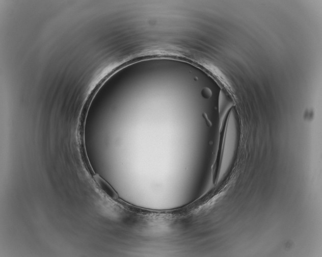 X0000090460893200707201332