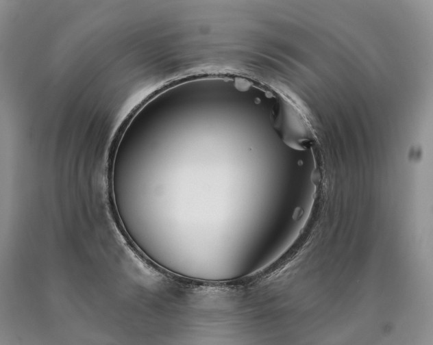 X0000090460894200707201332